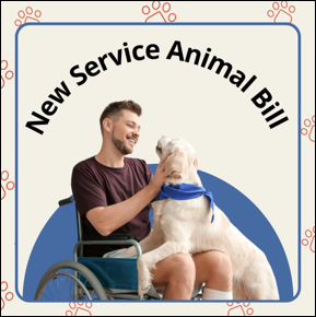 New Service Animal Bill. Man in a wheelchair with service dog. 
										